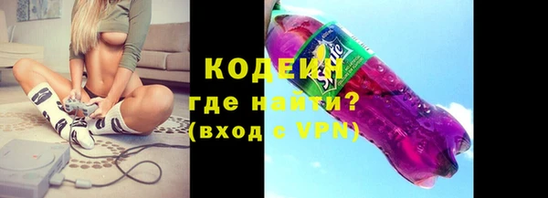 амф Каменка