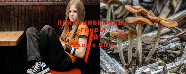 мдма Карпинск